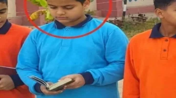 تفاصيل صادمة حول وفاة طالب إعدادي أجبره زملاؤه على تعاطي جرعة مخدرات